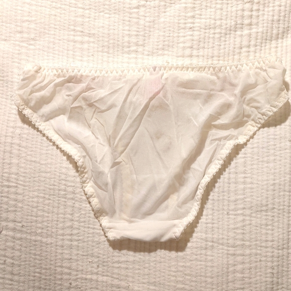$7 addon. NWT embroidered mesh panties - Picture 2 of 4
